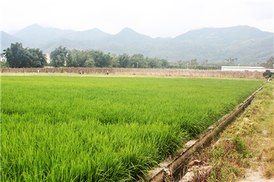 龍門生産基地