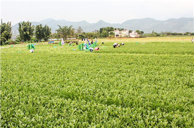 龍門生産基地